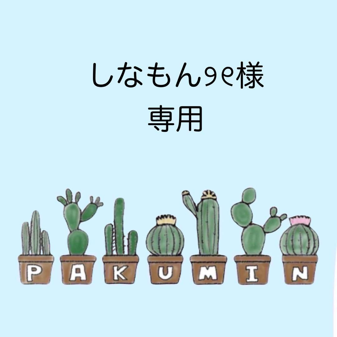 ✨しなもん୨୧ ✨A6 アクリルレジンバインダー　リング付き×3セット