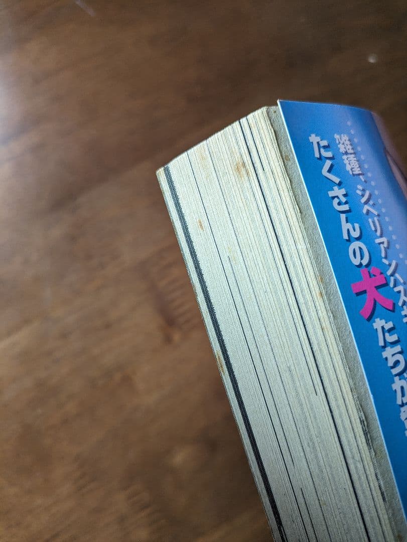 まっすぐにいこう。マメタロウの冒険編／きら／集英社