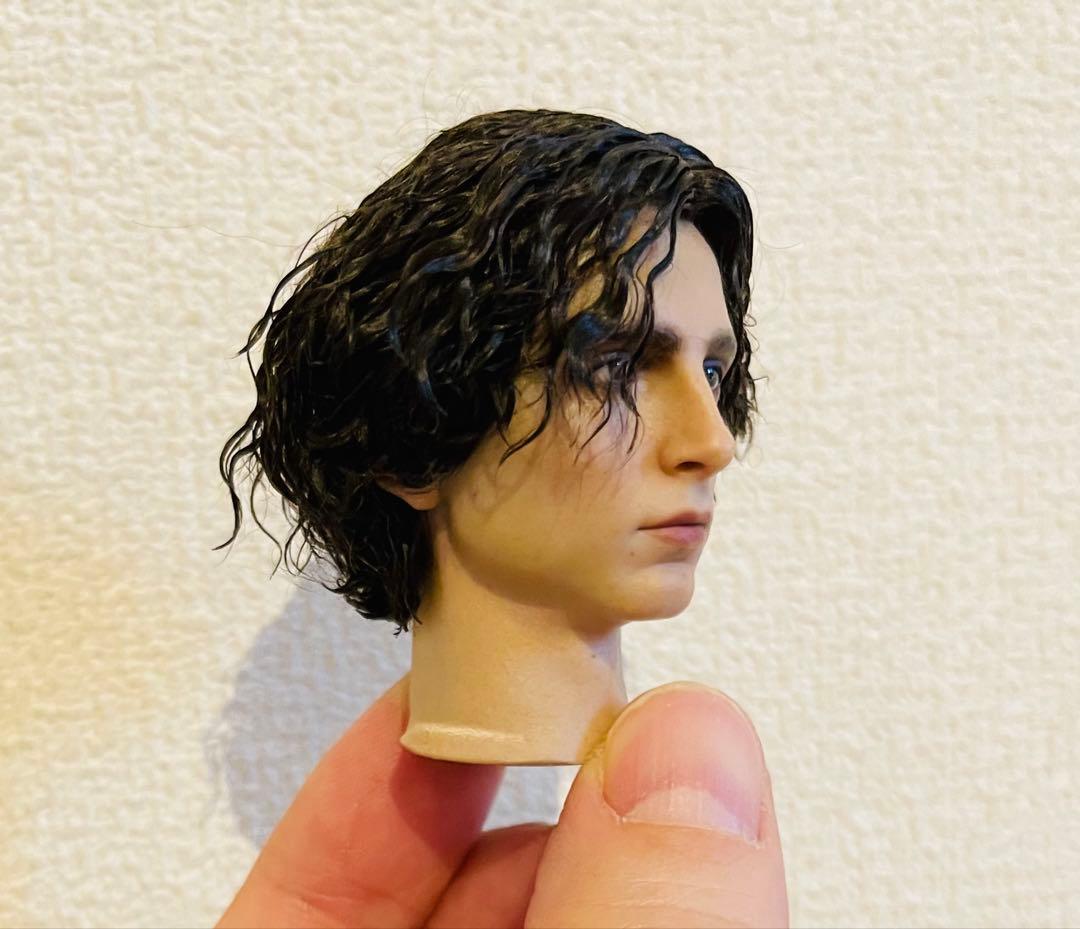 INART 1/6 デューン 砂の惑星 ポール アトレイデス DX版 植毛ヘッド