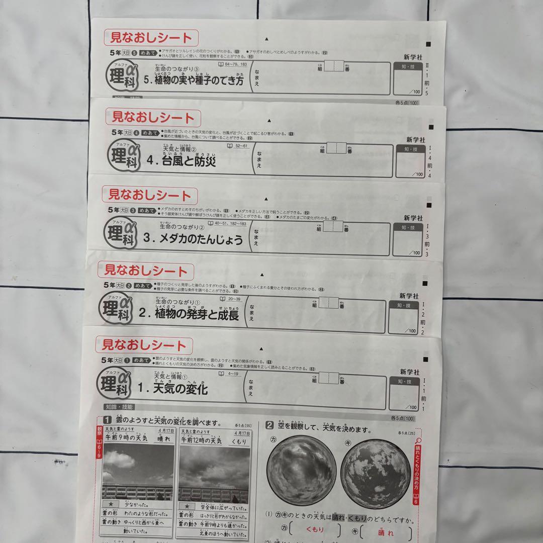 【最新版】カラーテスト　見なおしシート　理科　5年　大日本図書　新学社　アルファ