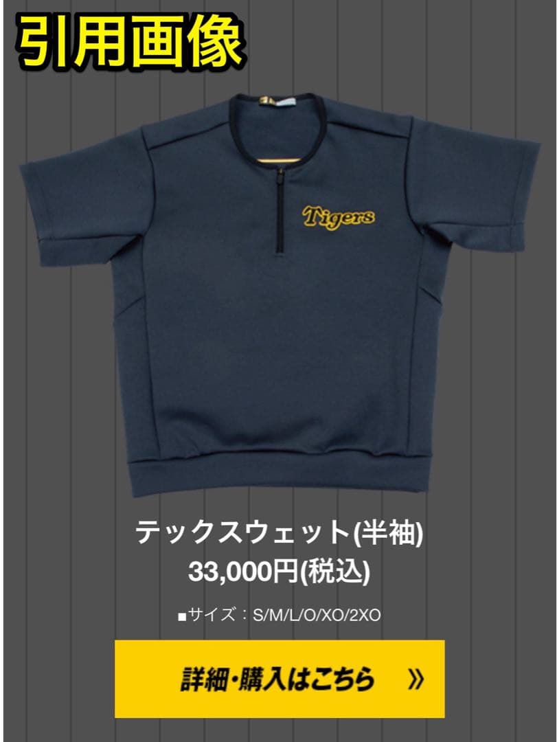 XOサイズ！ ミズノプロ 阪神タイガース 公式グッズ テックスウェット 2022