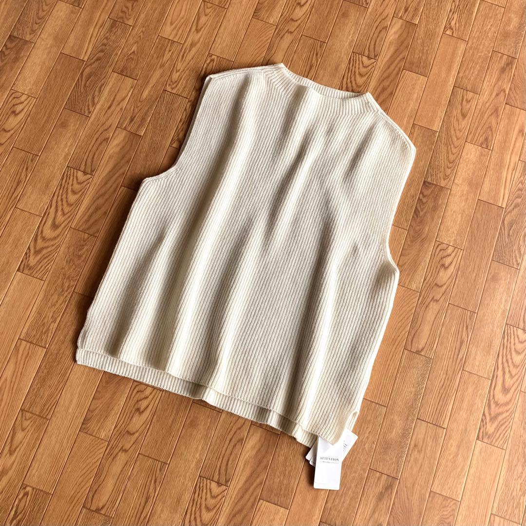 JOURNAL STANDARD LUXE アゼキョウシュク ボトルベスト