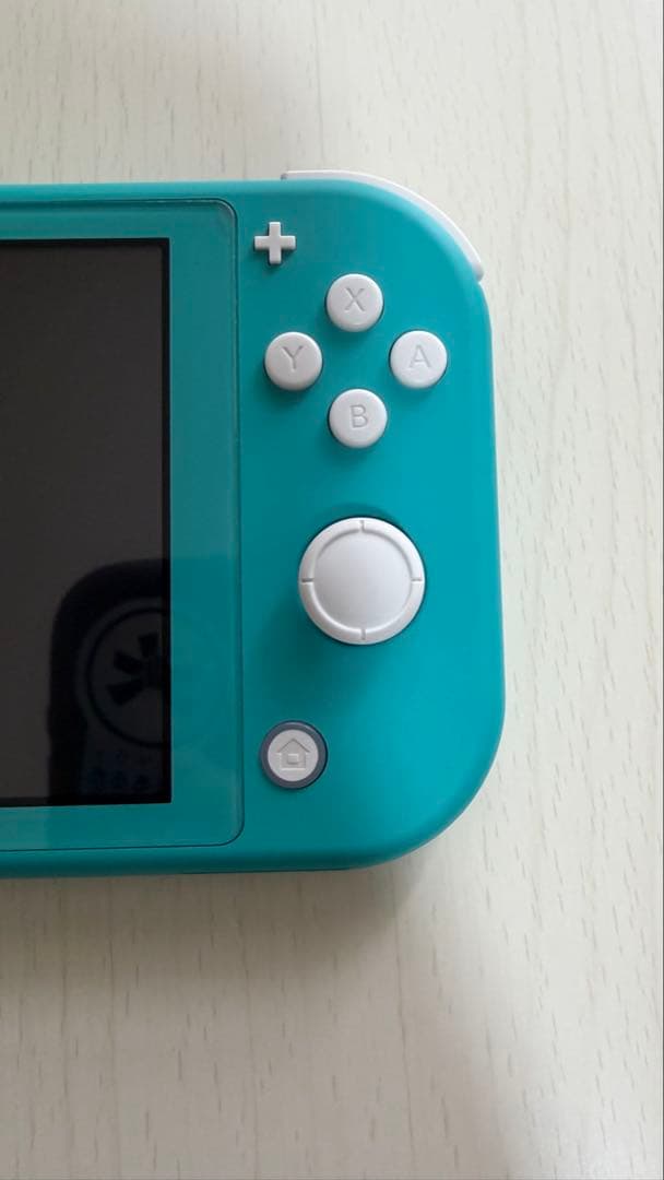 Nintendo Switch Lite ターコイズ 本体 充電機、カバー付き