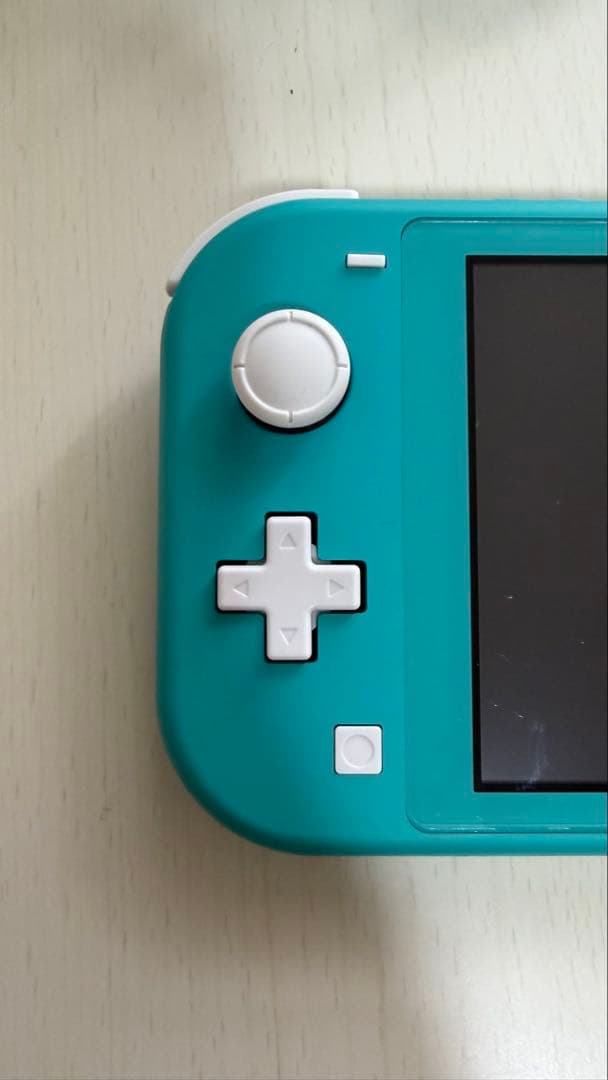 Nintendo Switch Lite ターコイズ 本体 充電機、カバー付き