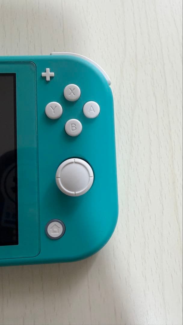 Nintendo Switch Lite ターコイズ 本体 充電機、カバー付き