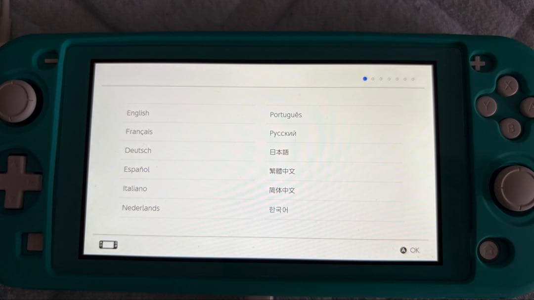 Nintendo Switch Lite ターコイズ 本体 充電機、カバー付き