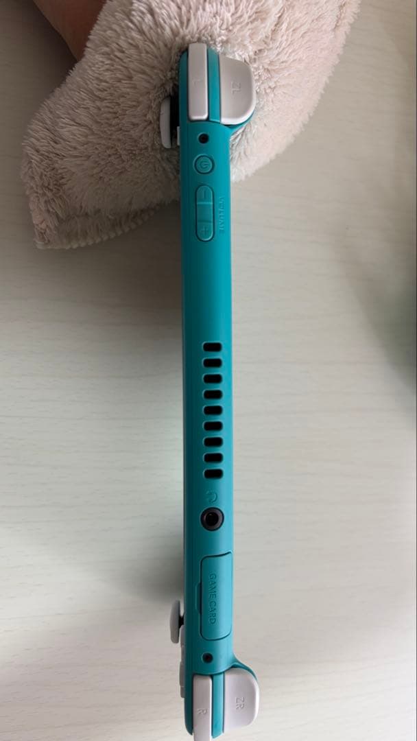 Nintendo Switch Lite ターコイズ 本体 充電機、カバー付き