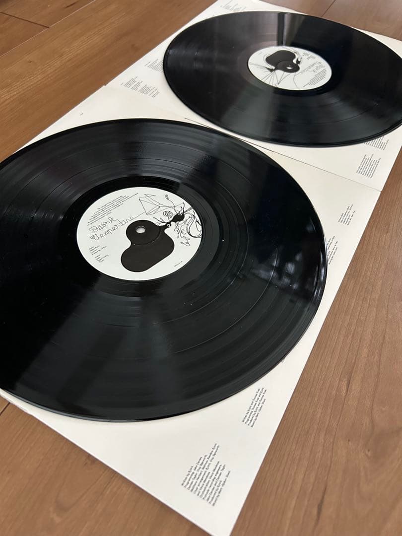 Björk ビョーク Vespertine ヴェスパタイン アナログ 2LP