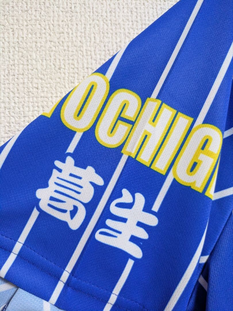 青藍泰斗高校 ストライプ 応援ユニフォーム　Oサイズ (XL)