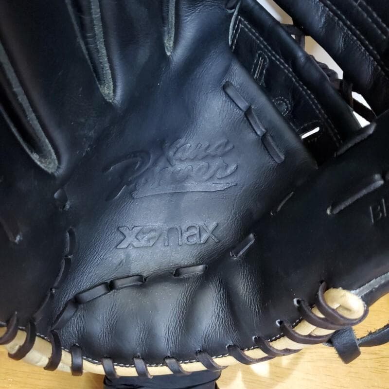 ザナックス XANAX 日本製 ザナパワー 左投げ用 投手用 硬式グローブ