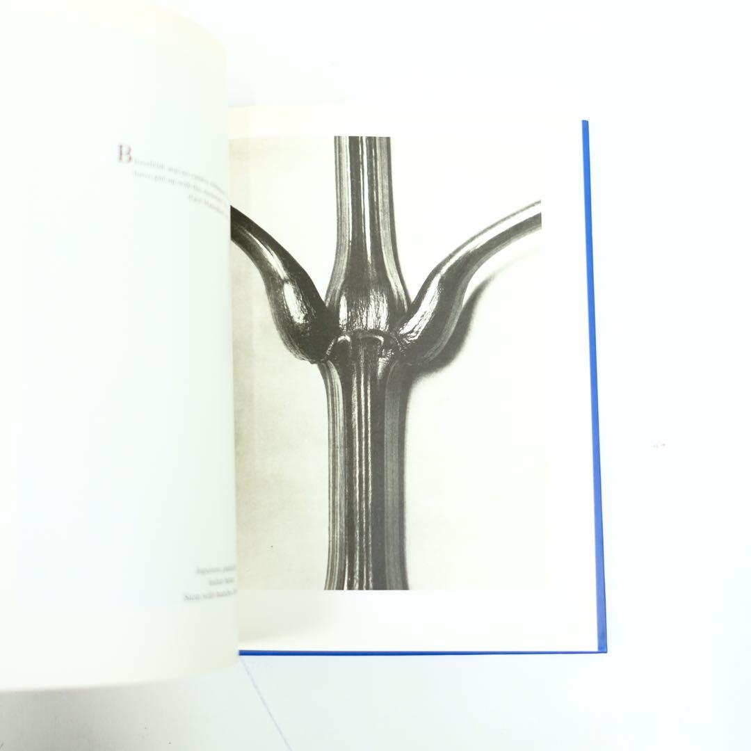 Karl Blossfeldt Taschen カール・ブロスフェルド　写真集