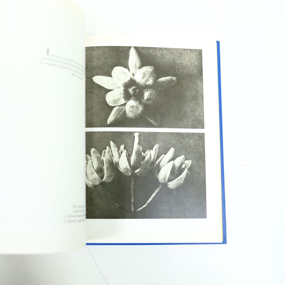 Karl Blossfeldt Taschen カール・ブロスフェルド　写真集