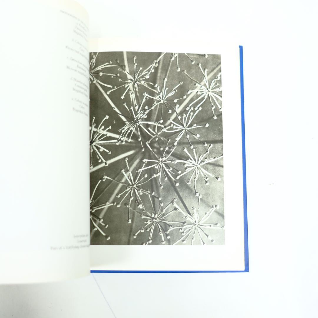 Karl Blossfeldt Taschen カール・ブロスフェルド　写真集