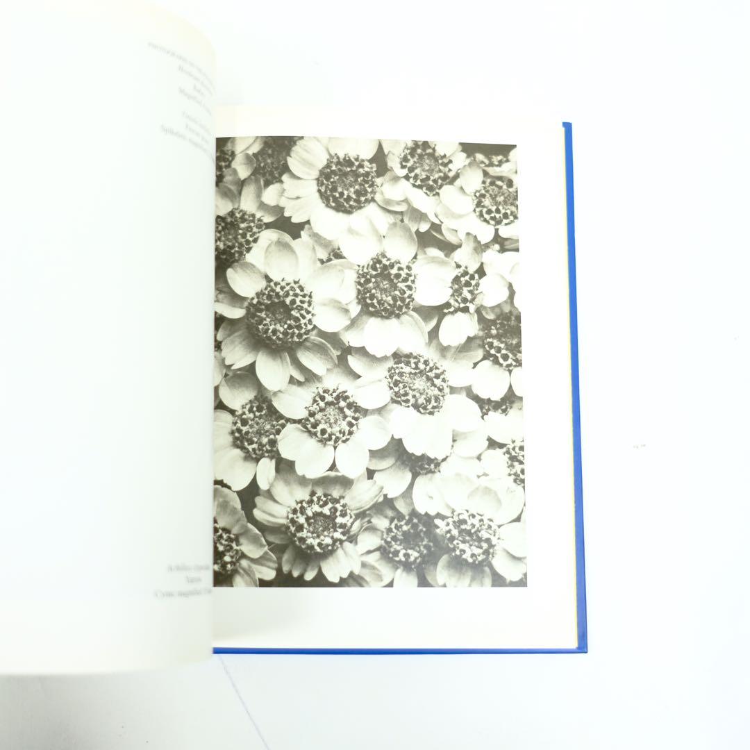 Karl Blossfeldt Taschen カール・ブロスフェルド　写真集