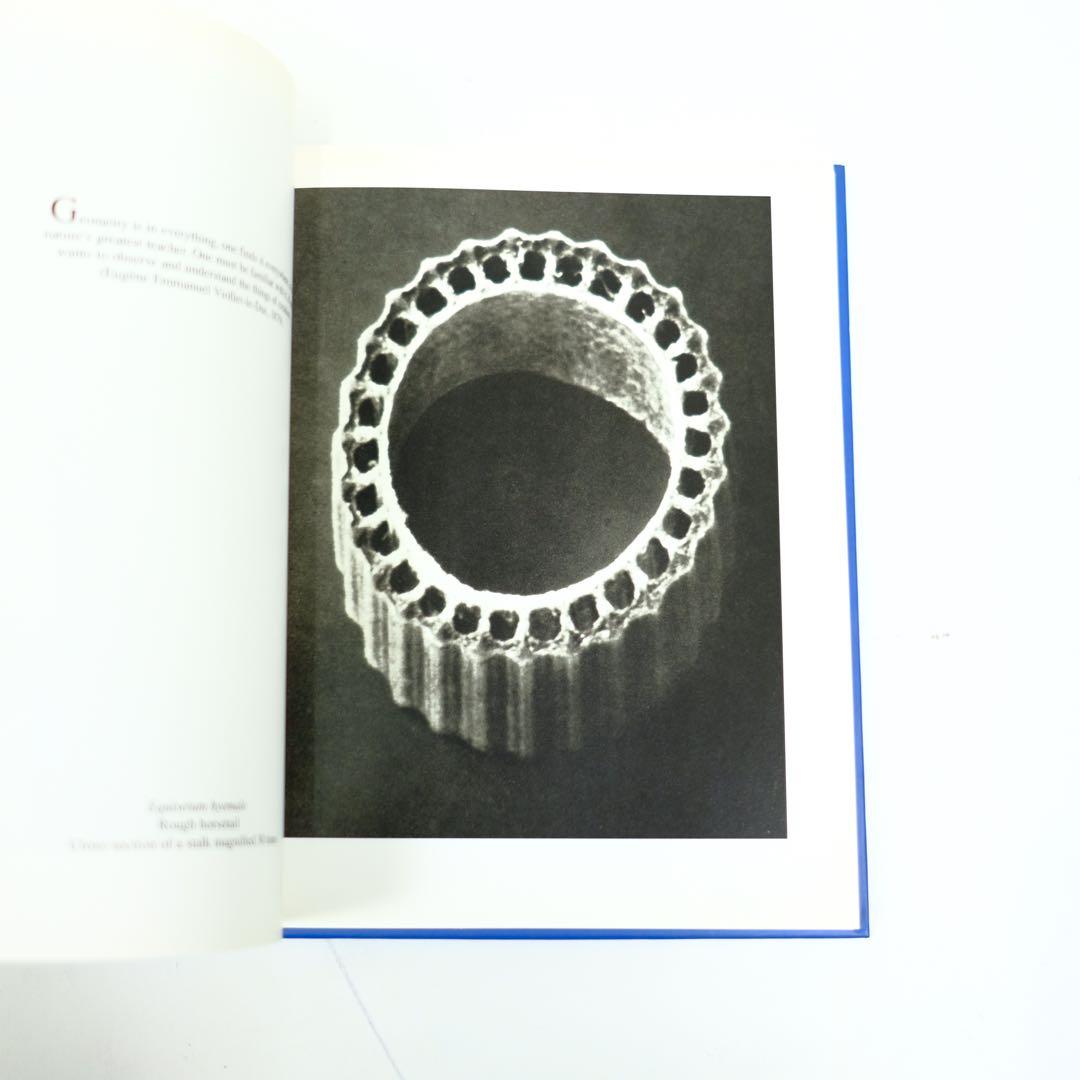 Karl Blossfeldt Taschen カール・ブロスフェルド　写真集