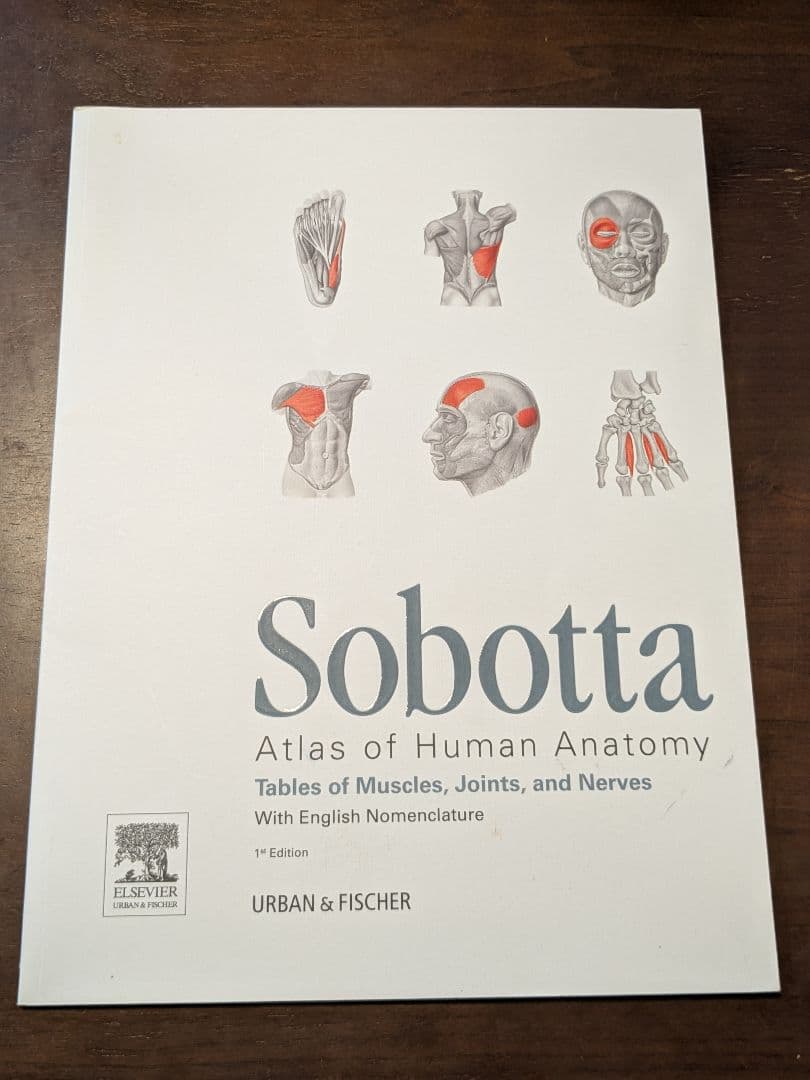 解剖学の図解書 \"Sobota 15th edition\"