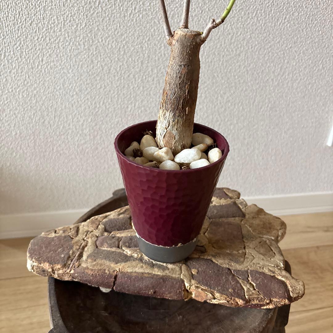 陶器工芸品 三角オブジェ