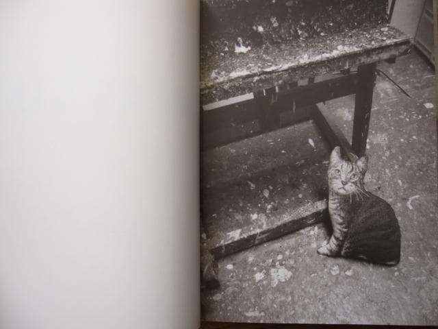パリの靄　松井ヨシアキ　画集　Yoshiaki Matsui