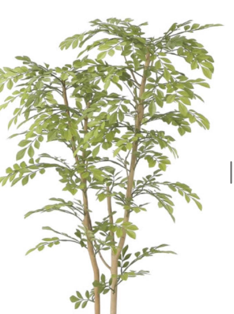 光触媒　人工観葉植物　ウォールグリーン　フェイクグリーン　ライトトネリコ1.3