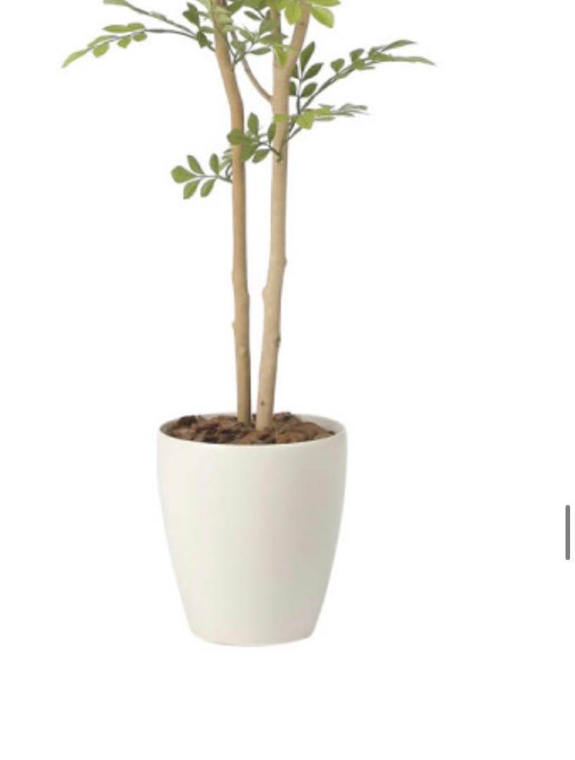 光触媒　人工観葉植物　ウォールグリーン　フェイクグリーン　ライトトネリコ1.3