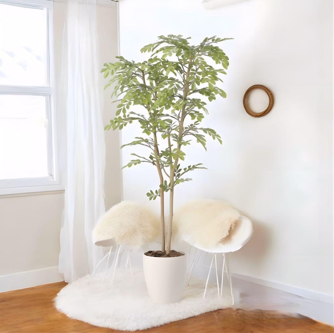 光触媒　人工観葉植物　ウォールグリーン　フェイクグリーン　ライトトネリコ1.3