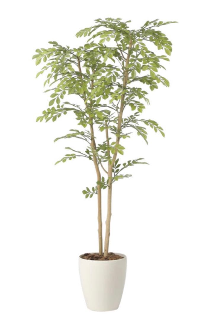 光触媒　人工観葉植物　ウォールグリーン　フェイクグリーン　ライトトネリコ1.3
