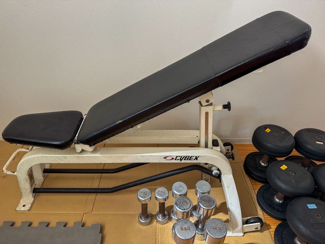 Cybex ベンチプレス台　IVANKO ダンベル セット