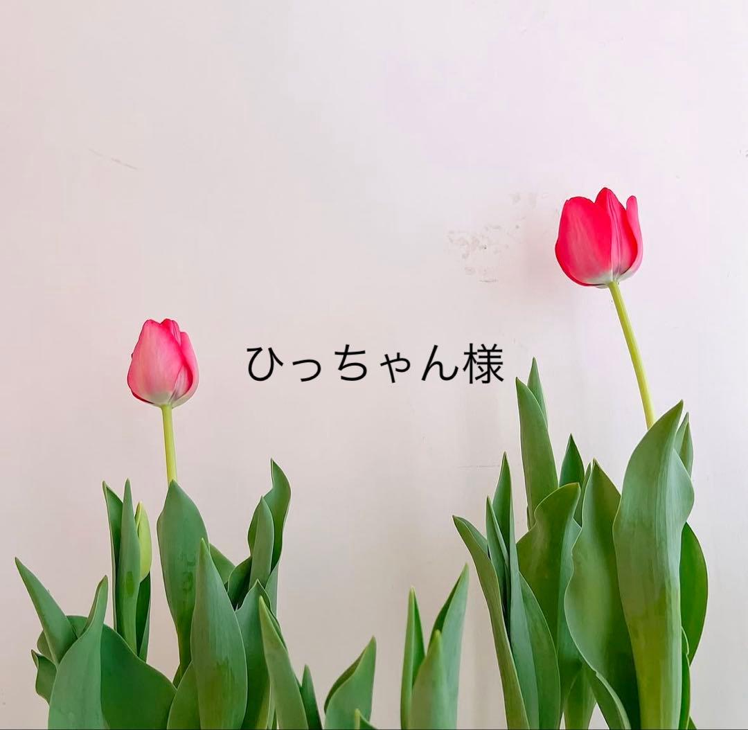 ひっちゃん品　クレンザー白
