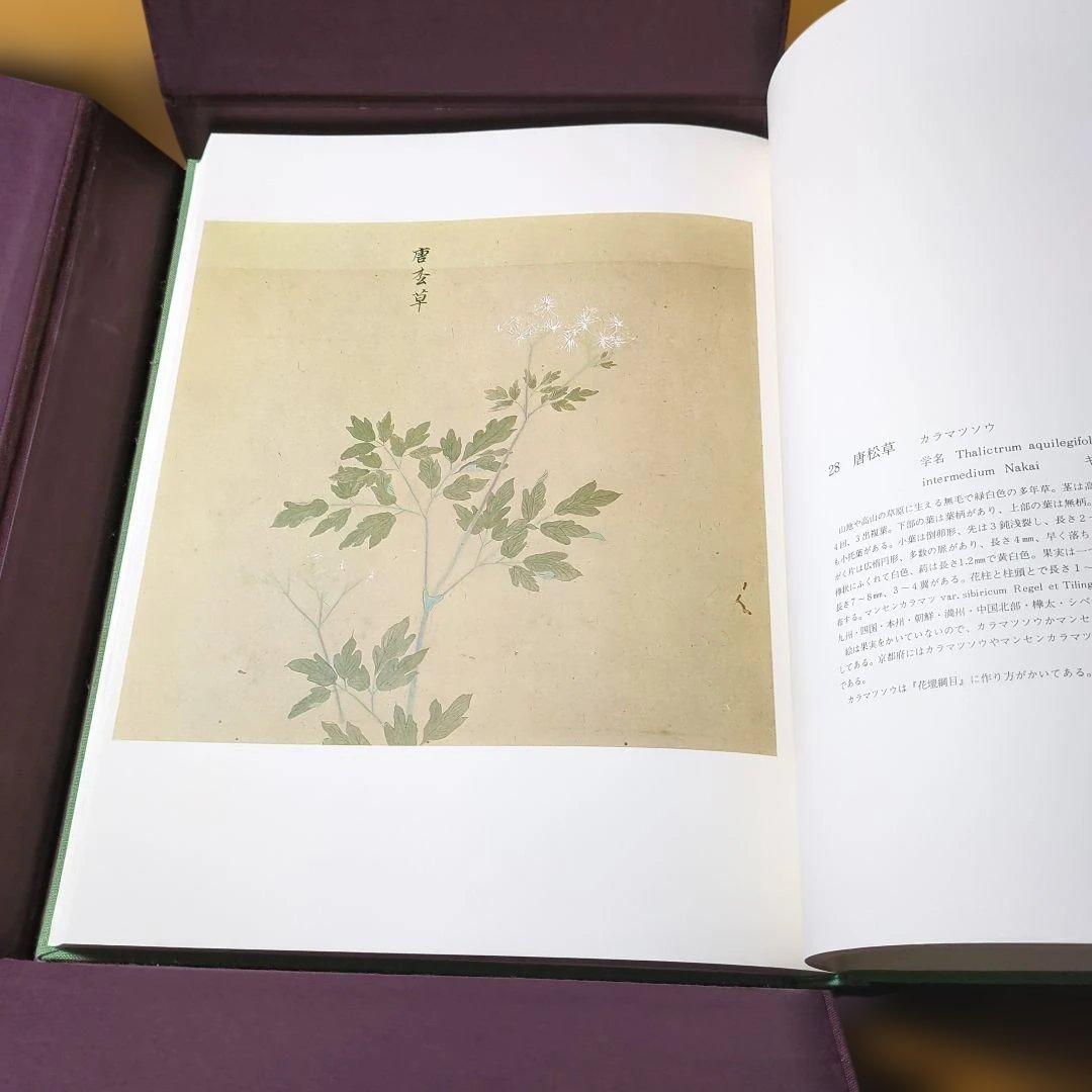 近衛豫楽院による花木真寫の限定版図録　1000部限定
