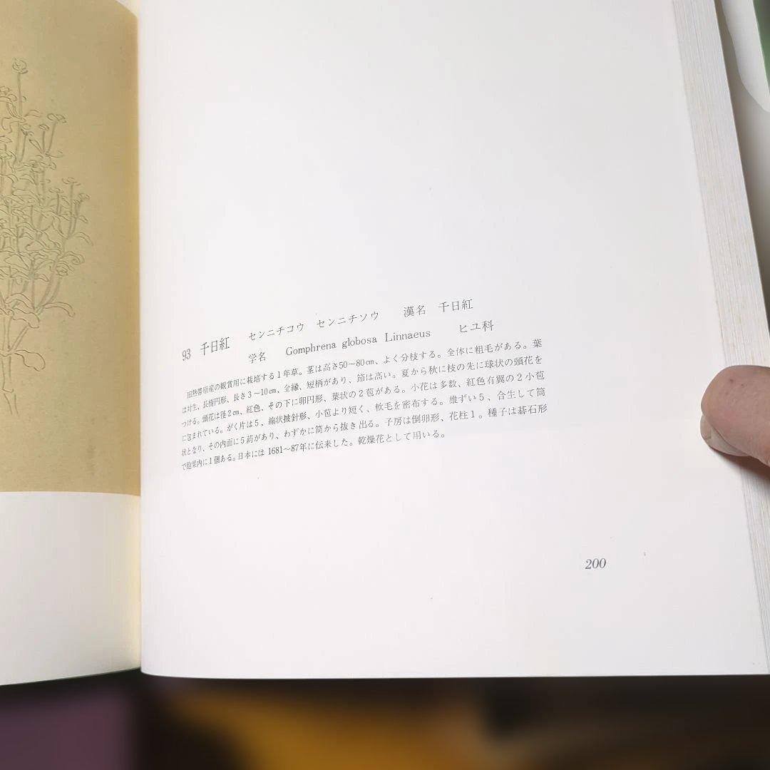 近衛豫楽院による花木真寫の限定版図録　1000部限定