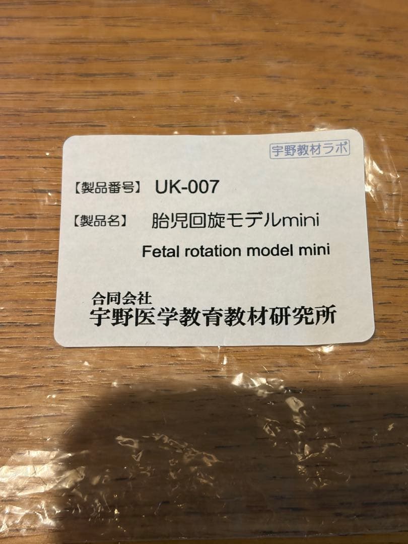 胎児回旋モデルmini