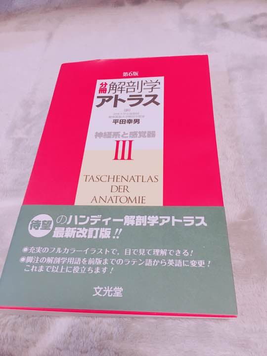 解剖学アトラス 第6版 I II Ⅲ 運動器・内臓・神経系と感覚器