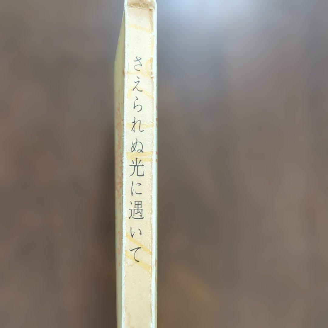 さえられぬ光に逢いて 熊野好月著