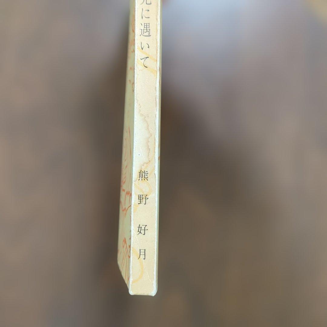 さえられぬ光に逢いて 熊野好月著