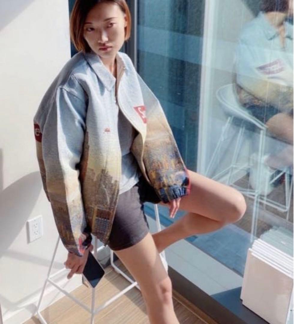 k*o様 Supreme Aerial Tapestry Harrington