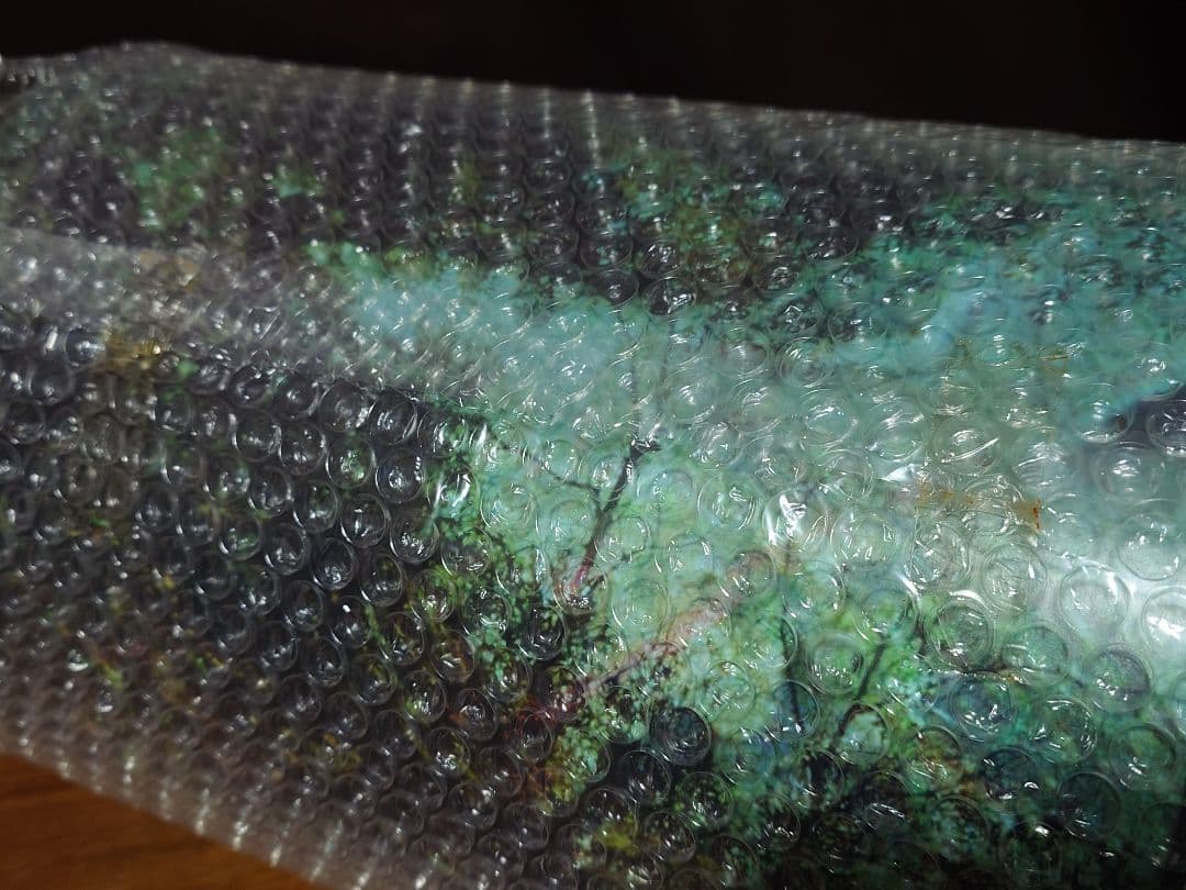 蟲師 二十景 漆原友紀 画集 蟲襖 むしあお 複製原画 講談社 完全受注生産
