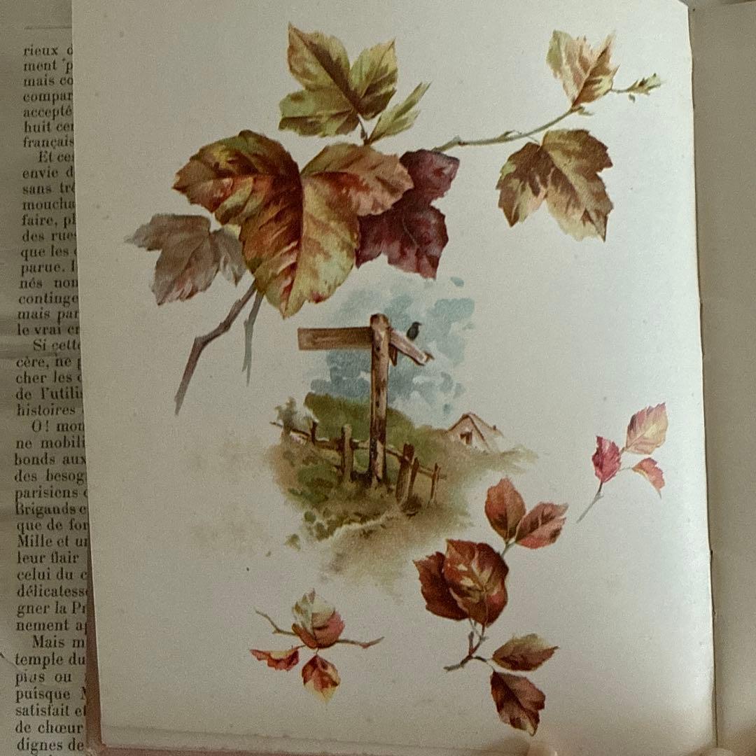 1890年アンティーク美しい画集アーネストニースター洋書ジャンクジャーナル古書