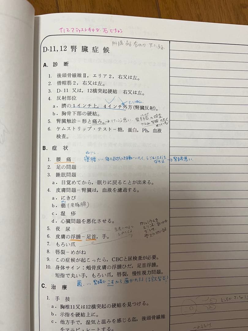 【そらしま8号】カイロプラクティック　テキスト