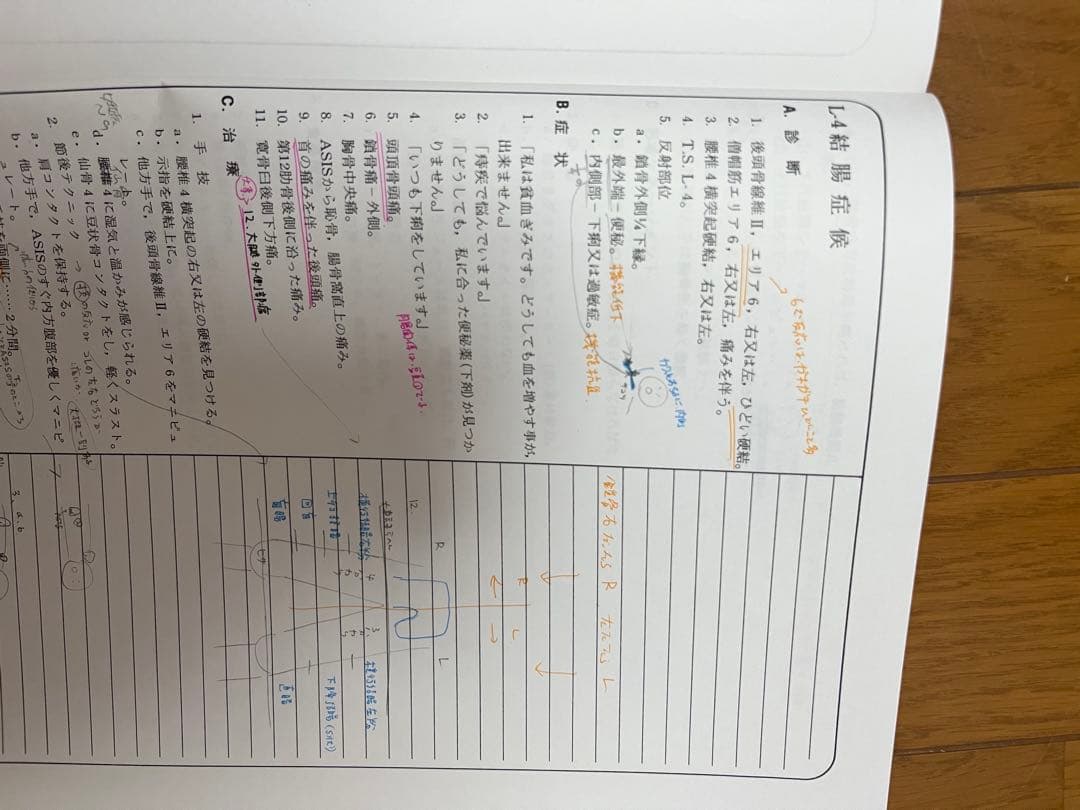【そらしま8号】カイロプラクティック　テキスト