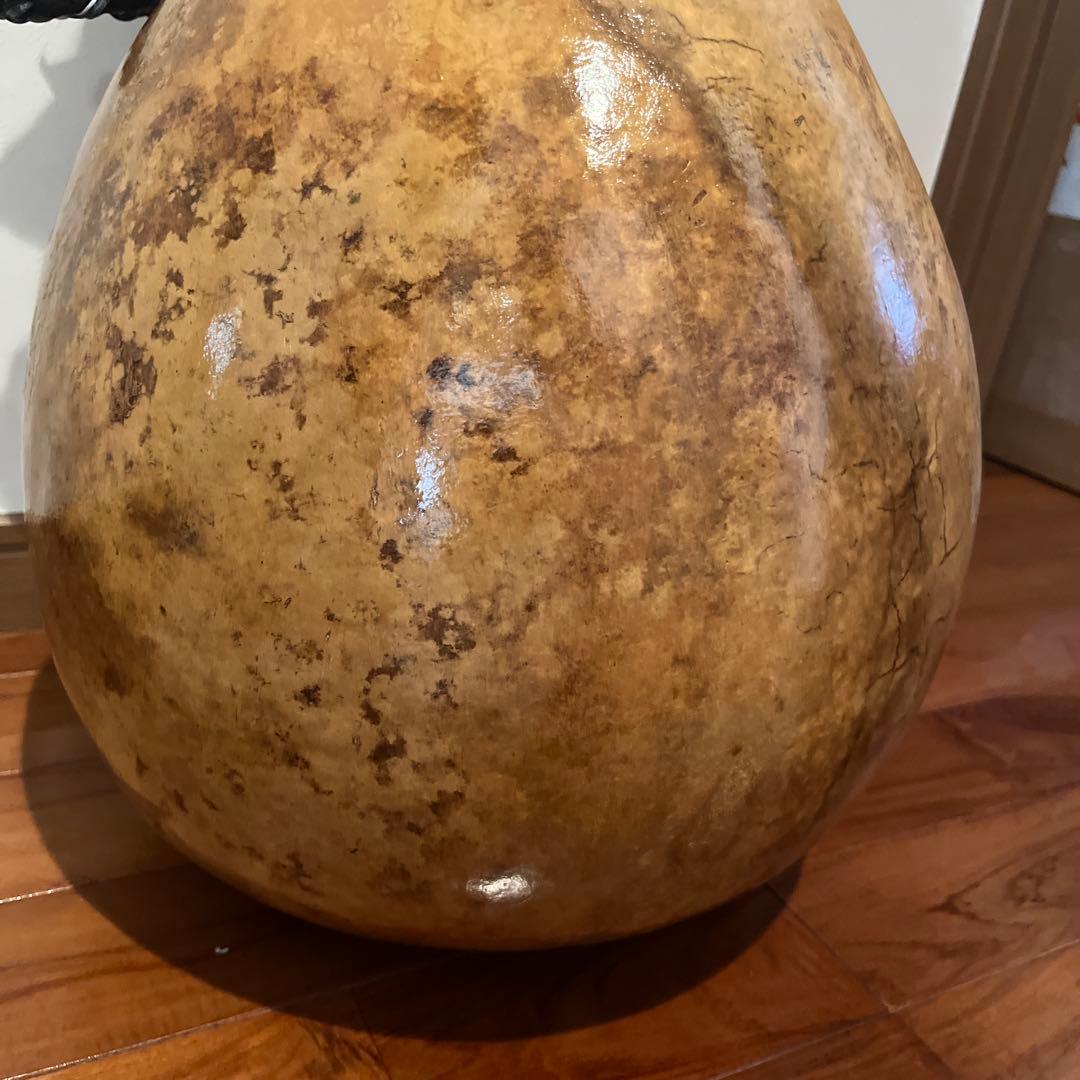 イプヘケ　67cm カウラ付き　ハワイ直輸入　新品