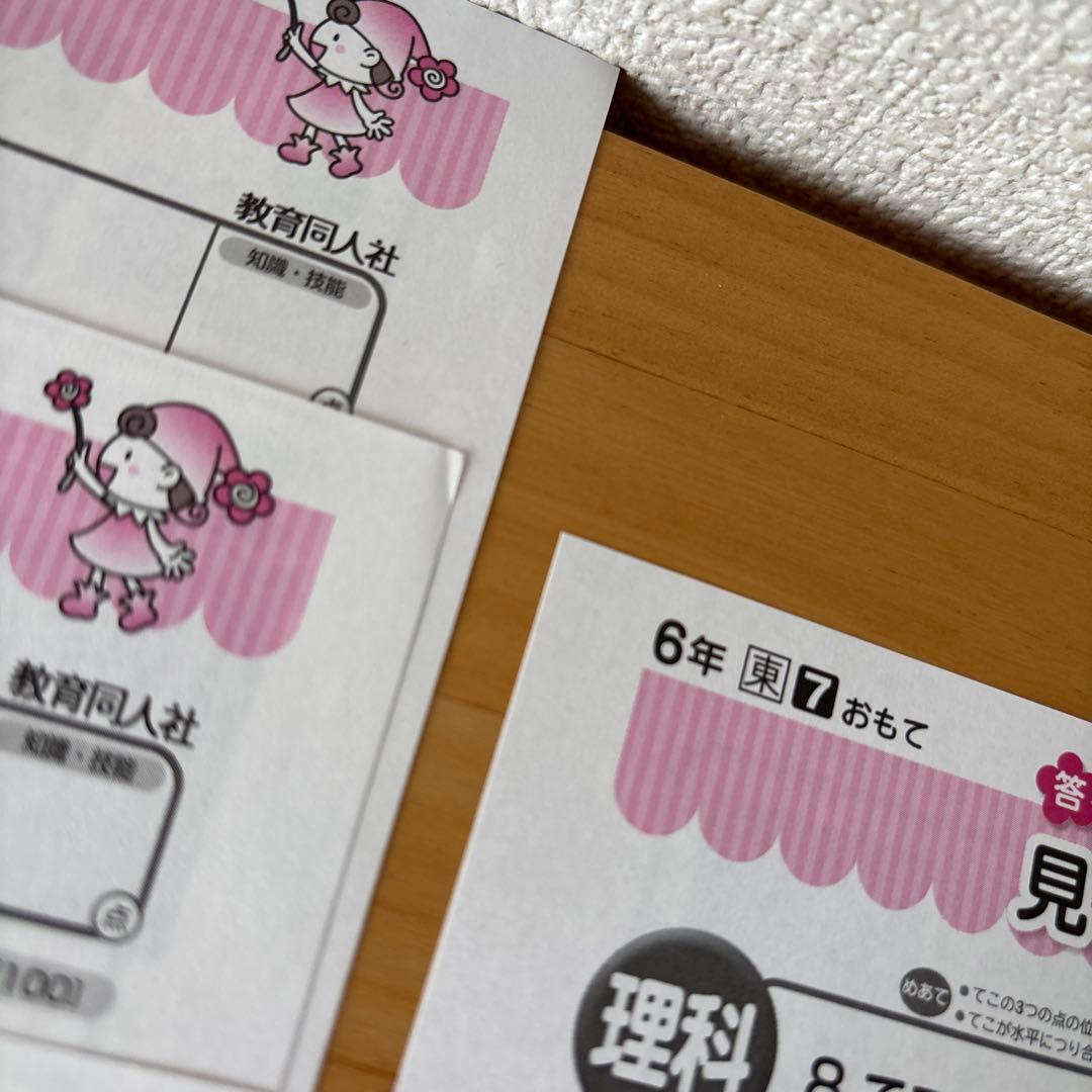 ⑥小学6年生 理科テストの見なおしシート 13枚
