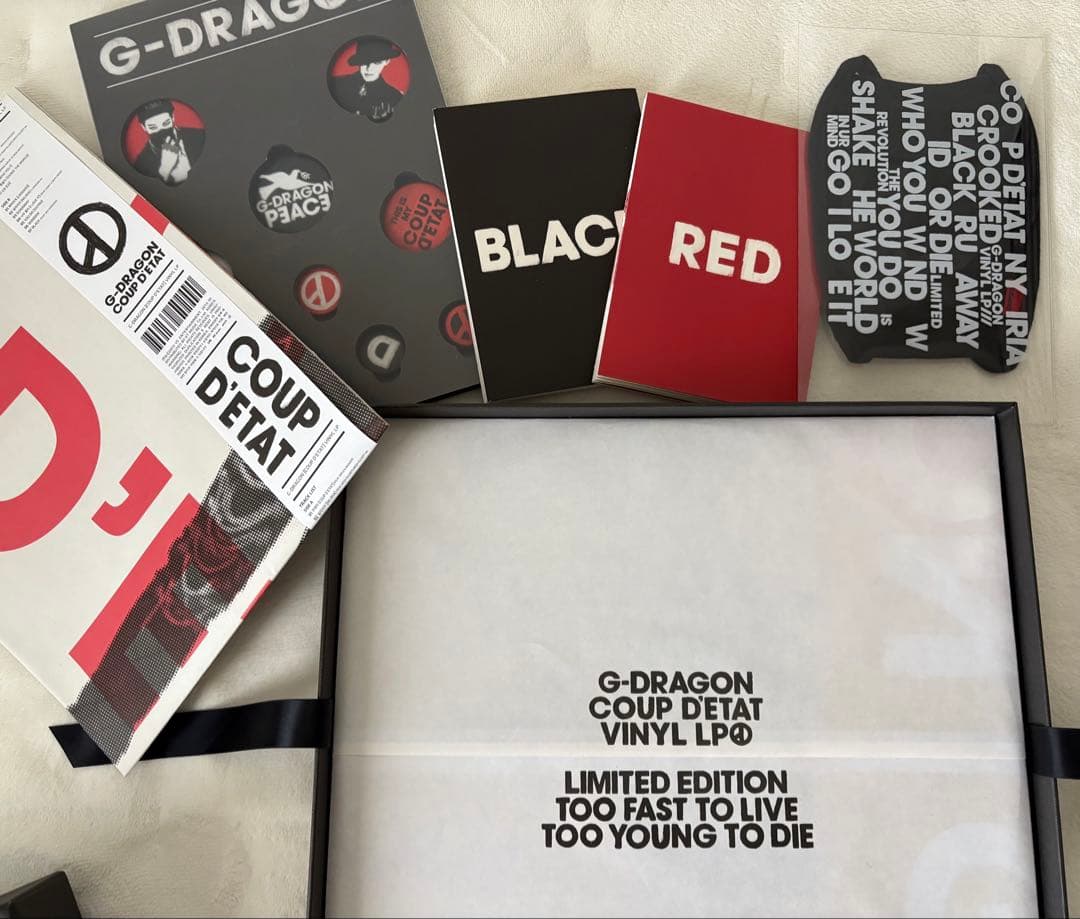 【美品】G-DRAGON COUP D'ETAT VINYL LP 限定版