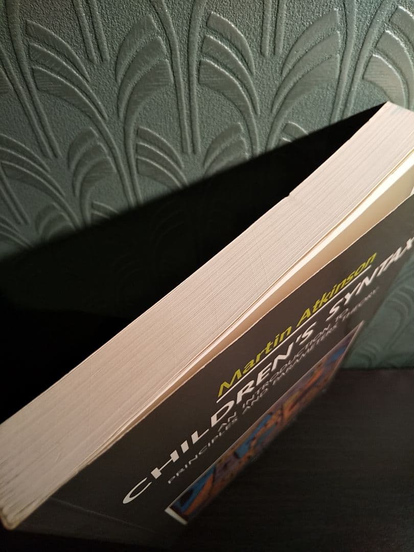 〈洋書〉児童統語論：原理とパラメータ理論入門／☆書き込み無し保証