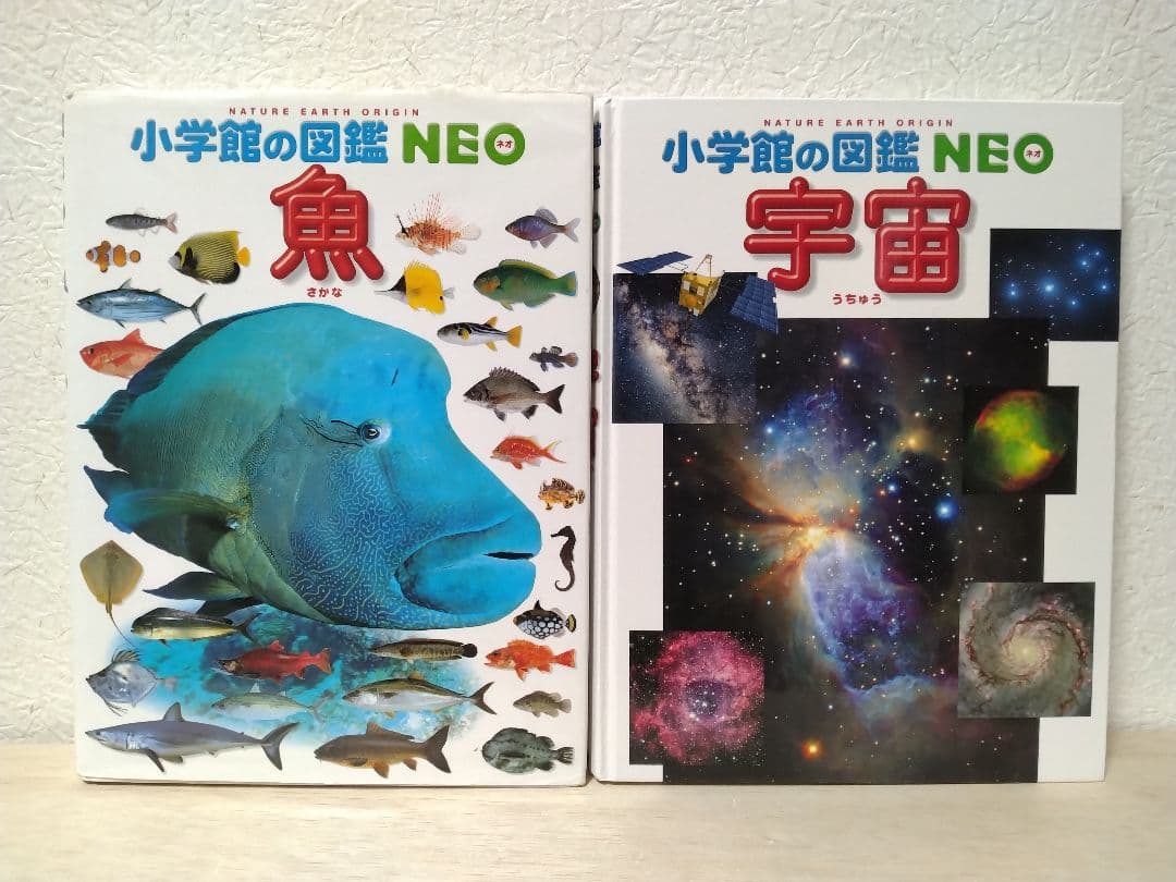 【土日限定/1冊999円】小学館の図鑑NEO 10冊セット