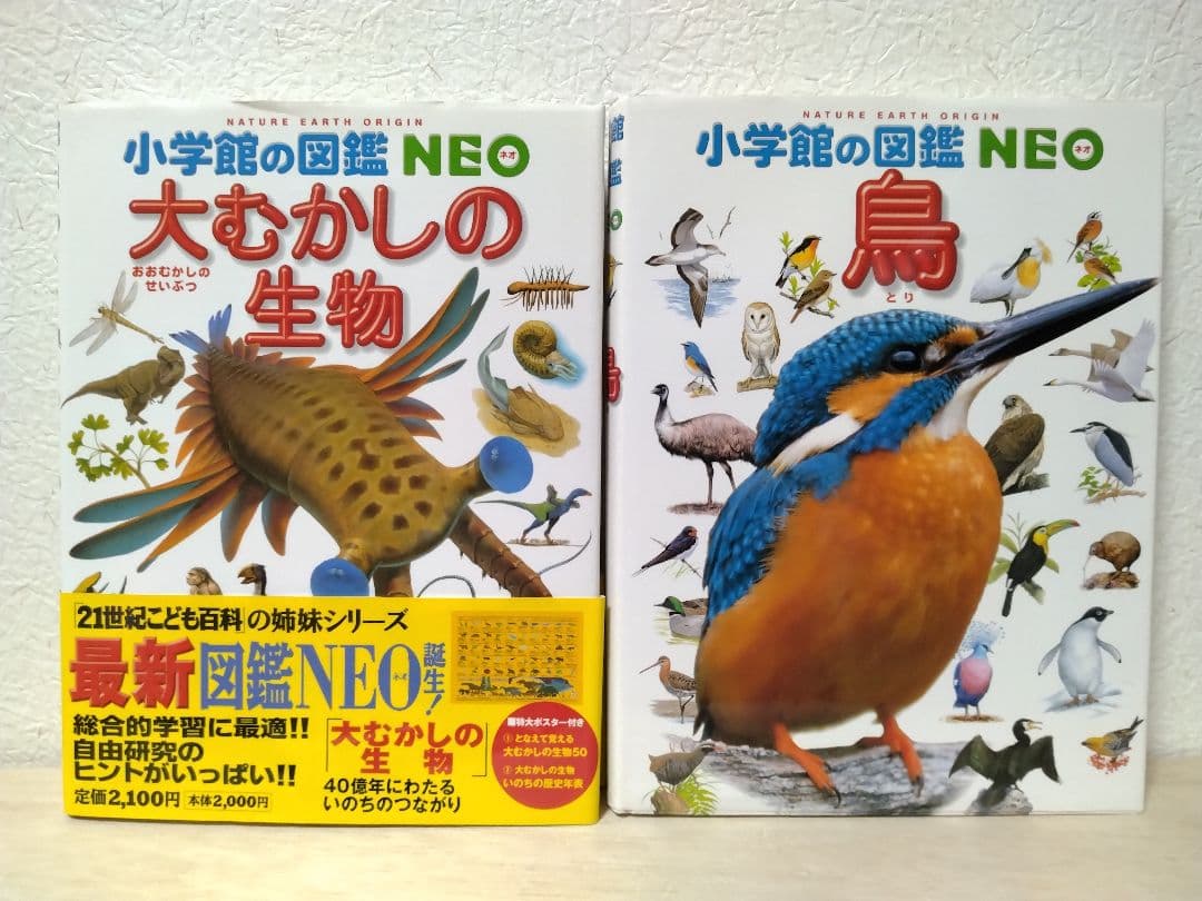 【土日限定/1冊999円】小学館の図鑑NEO 10冊セット