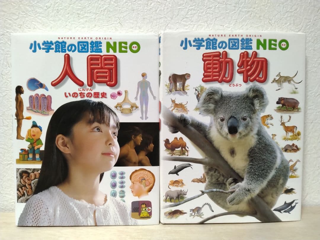 【土日限定/1冊999円】小学館の図鑑NEO 10冊セット