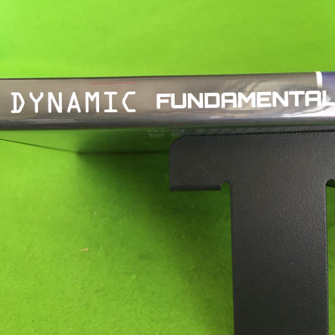 DYNAMIC FUNDAMENTALS　RAPHAEL　CARNEIRO　柔術