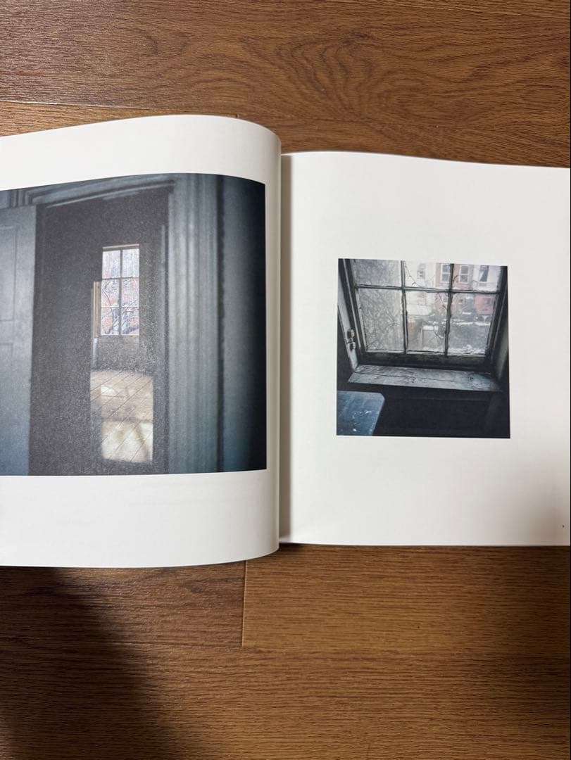 FRANCOINS HALARD SAUL LEITER ソールライター