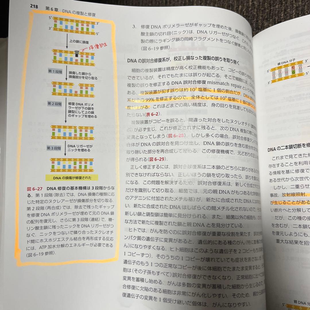 Essential細胞生物学 五訂版