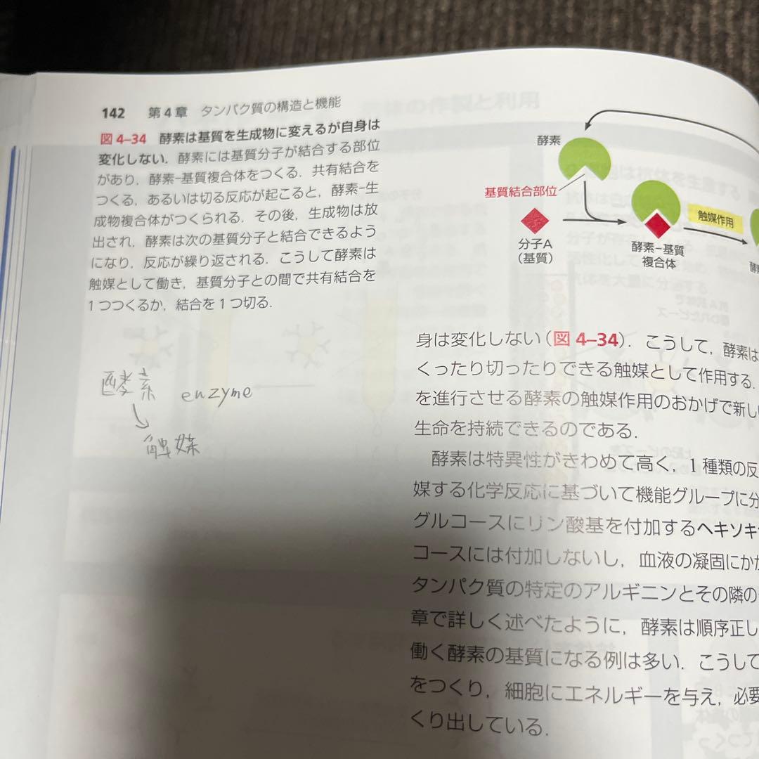 Essential細胞生物学 五訂版